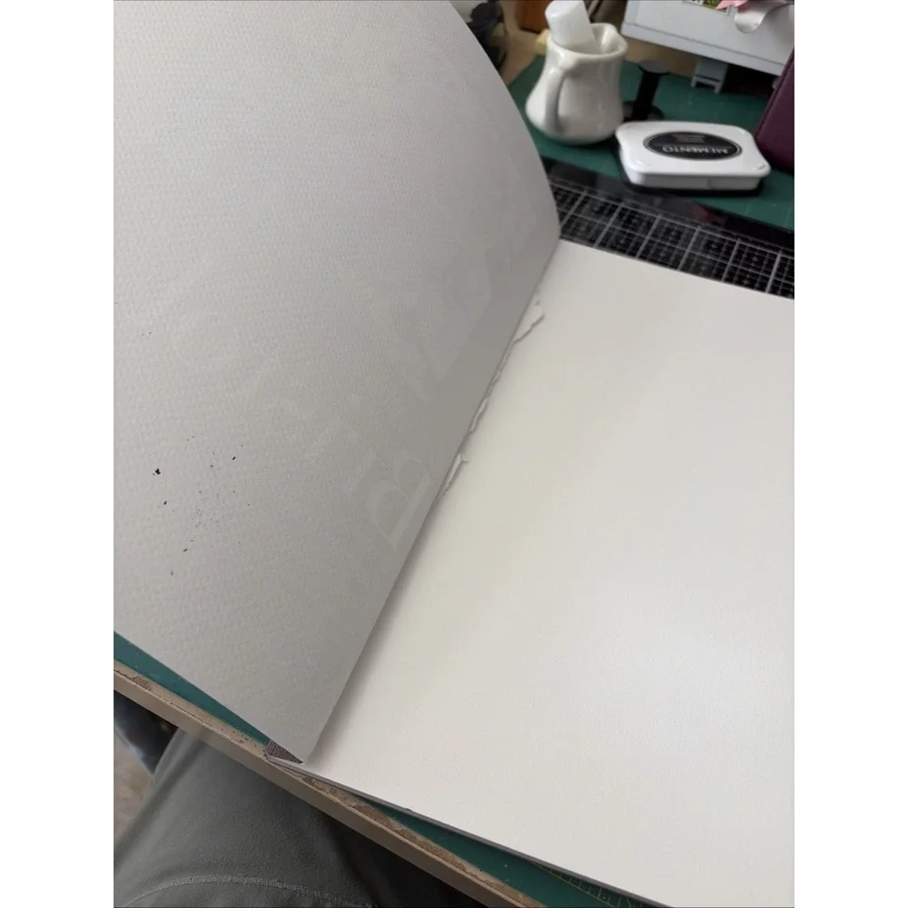Strathmore 475-3, 400 Series Bristol, 2-Ply Vellum, 9